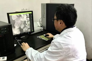 2019年度奉賢工匠技術服務評選投票正式啟動